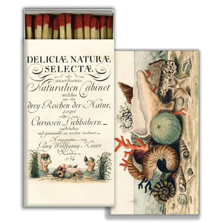 Victorian Seashells Boxed Safety Matches
