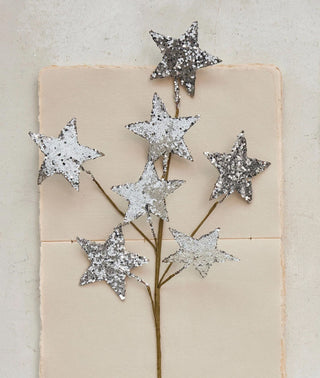 22" Silver Glittered Paper Star Stem