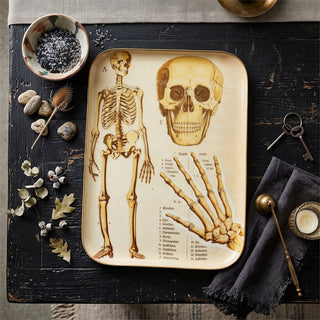 Metal Skeleton Tray Wall Art