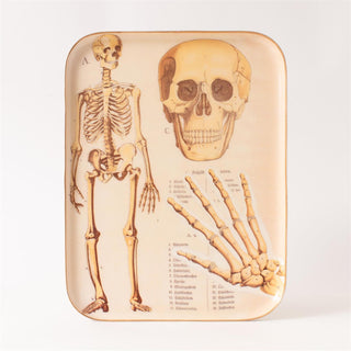 Metal Skeleton Tray Wall Art