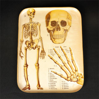 Metal Skeleton Tray Wall Art