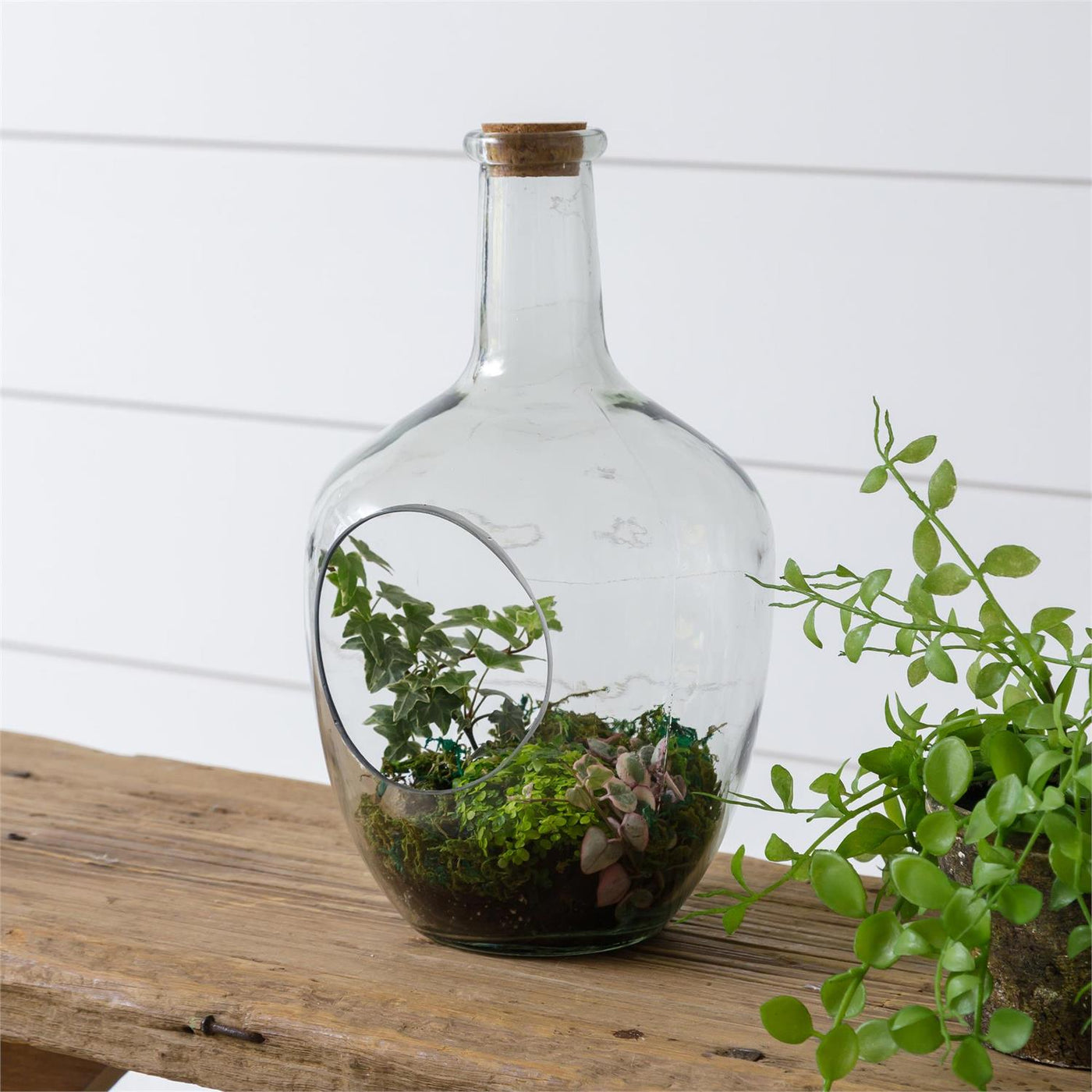 12" Bottle Terrarium