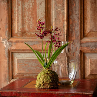 Maroon Small Orchid Large Moss Ball