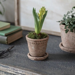 The Milston Planter with Saucer - Choose Size