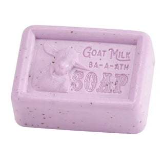 Goat Milk Soap - Lavender