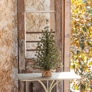 24" Faux Spruce Seedling Tree