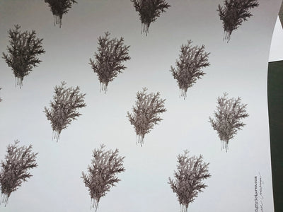 Spruce Branches Luxury Gift Wrap