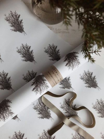 Spruce Branches Luxury Gift Wrap