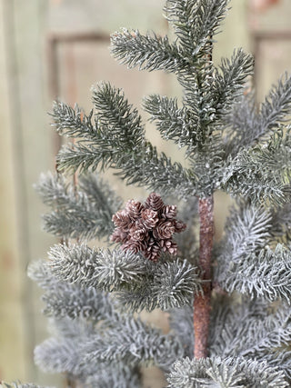 Star Cone Ornament