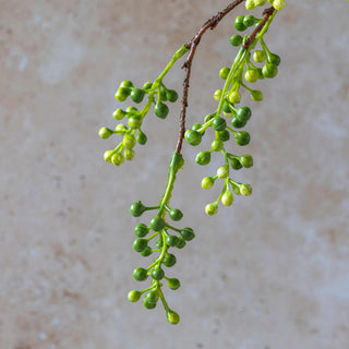 36" Viburnum Stem