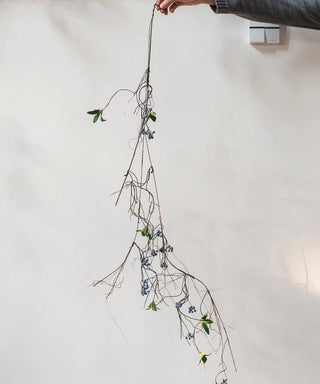43" Wild Blueberry Vine