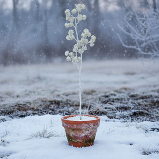 32" White Glittered Sedum Stem