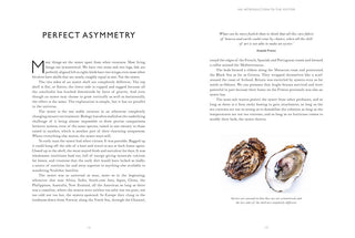 Oyster: A Gastronomic History Book
