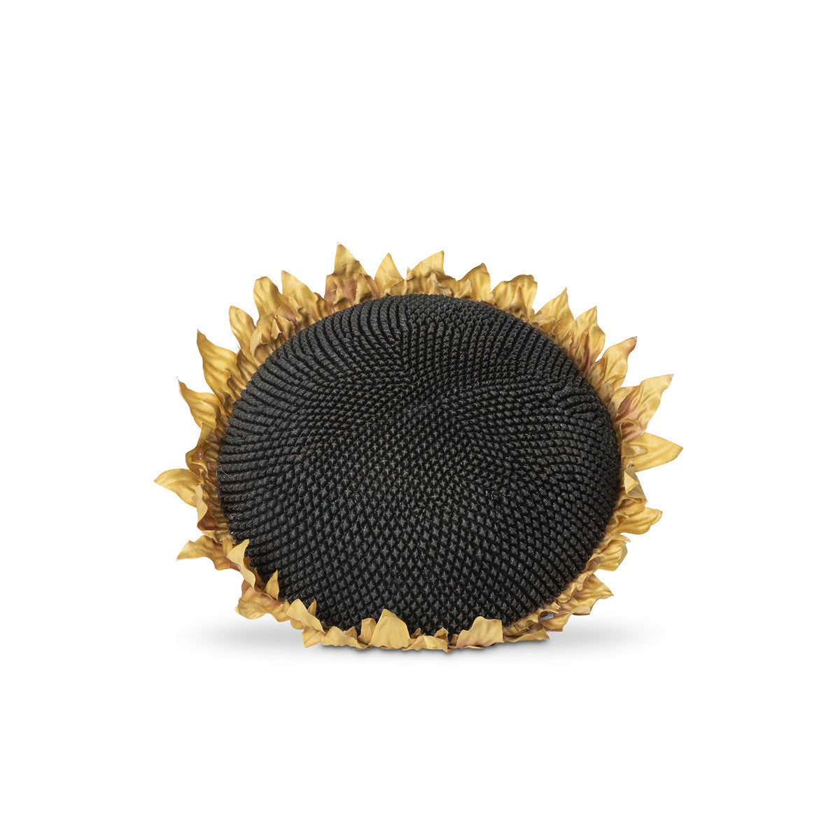 Large Sunflower Head