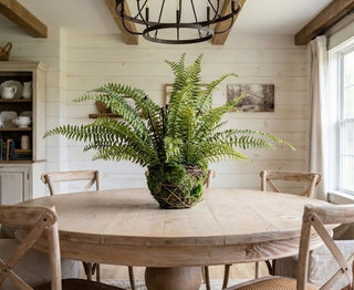 28" Boston Fern on Moss and Twig Basket