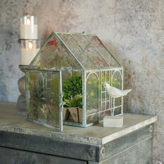 Painted Botanical Terrarium