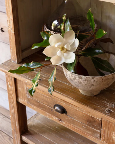 The Apothecary Cabinet