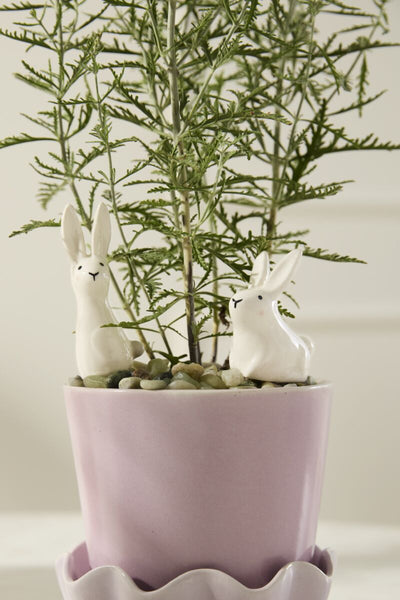 Thumper Plant Sticks - Set of 2