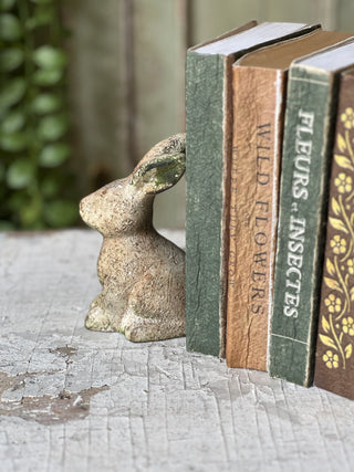 Tillie Rabbit - Sitting