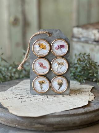 Set of 6 Tiny Treasure Magnets - Dried Flowers