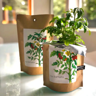 Tomato Garden in a Bag