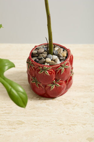 Tomato Cucina Pot