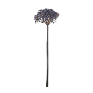 15" Mauve Trachelium Stem