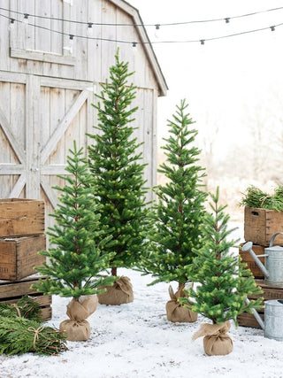 Gracious Greens Pine Tree - Choose Size