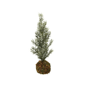 12.25" Frosted Faux Fir Tree with Moss Ball Base
