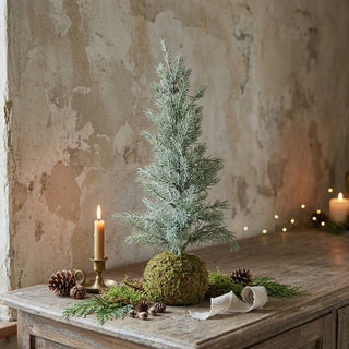 21.5" Frosted Faux Fir Tree with Moss Ball Base