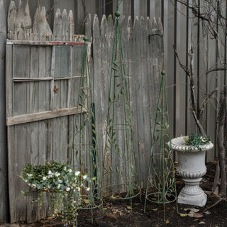 Green Leaf Trellis - Choose Size