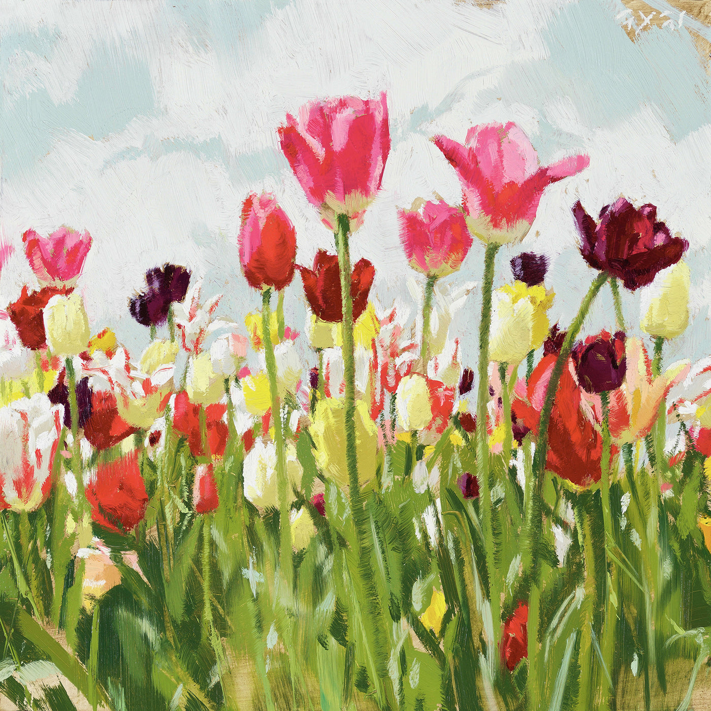 Tulip Field on Canvas Artwork Wall Decor