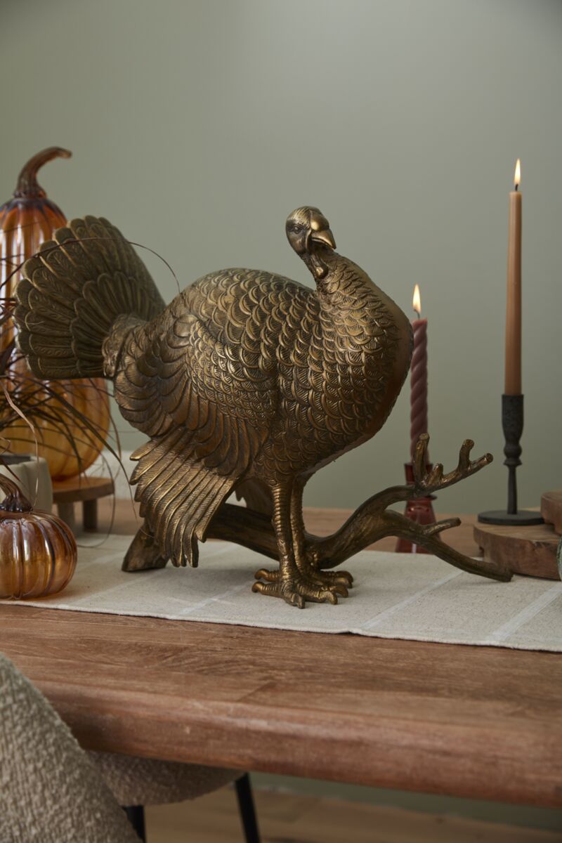 The Merriam Turkey