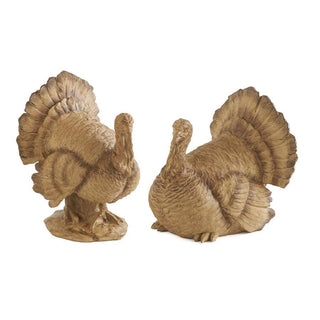 The Sitting Fall Turkey