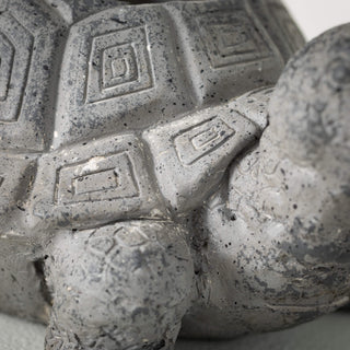 Turtle Planter