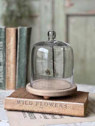 6.5" Belvedere Cloche