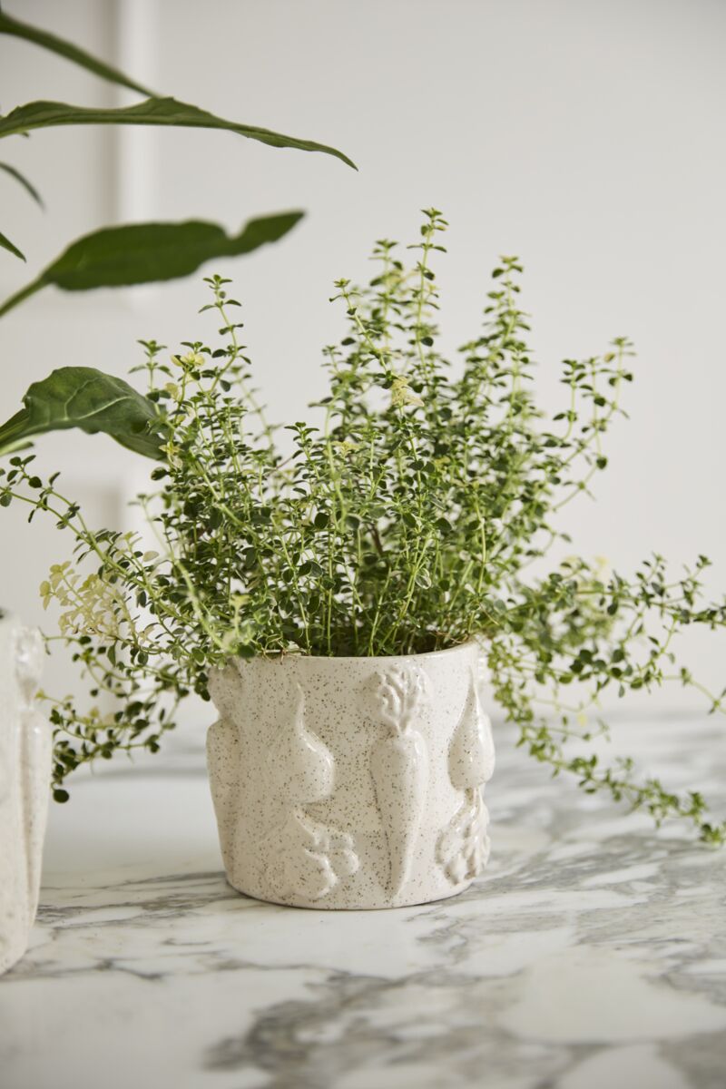 The Veggie Flowerpot - 5 Inch