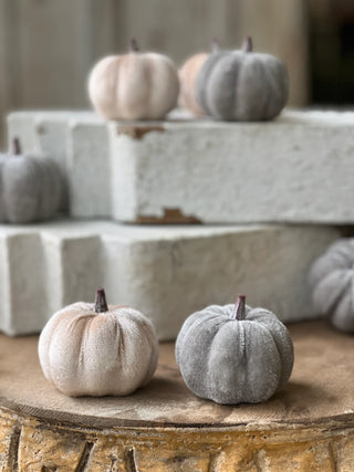 Set of 7 Velveteen Pumpkins