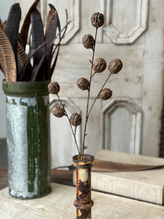 30" Walnut Hill Spray Stem