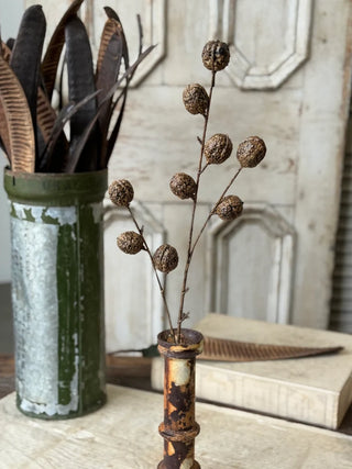 30" Walnut Hill Spray Stem