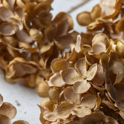 Walnut Hydrangea Stem