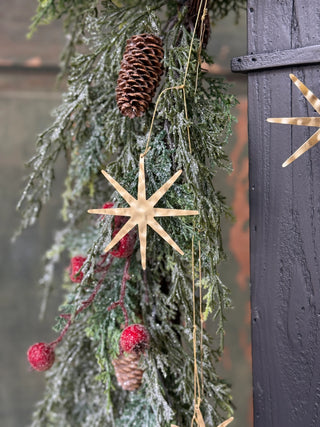 9ft Wandering Star Garland