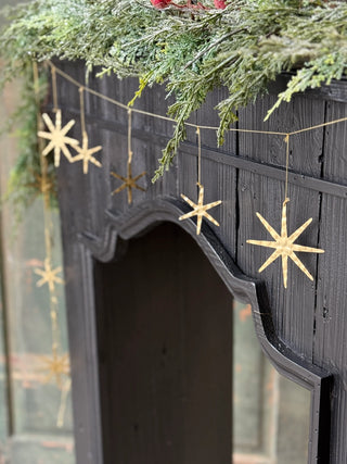 9ft Wandering Star Garland