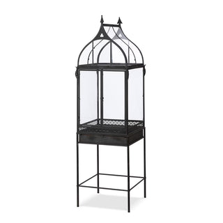 Wardian Case Standing Terrarium - More Coming Soon