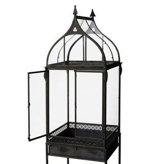 Wardian Case Standing Terrarium - More Coming Soon