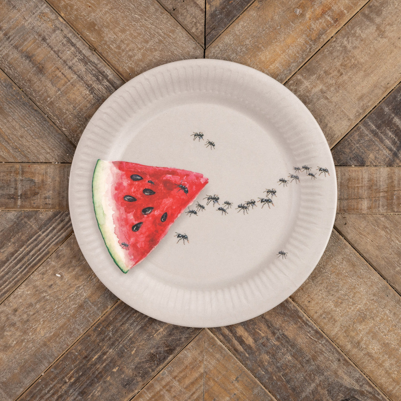 10" Watermelon with Ants Plate