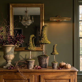 Potted Moss Witch’s Hat – Available in 3 Sizes