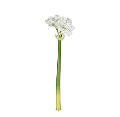 31" White Amaryllis Stem