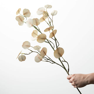 32" Cream Real Touch Eucalyptus Stem