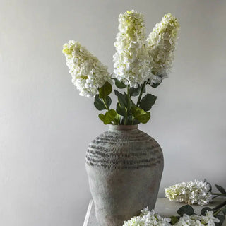 37" Hydrangea Paniculata Stem - White